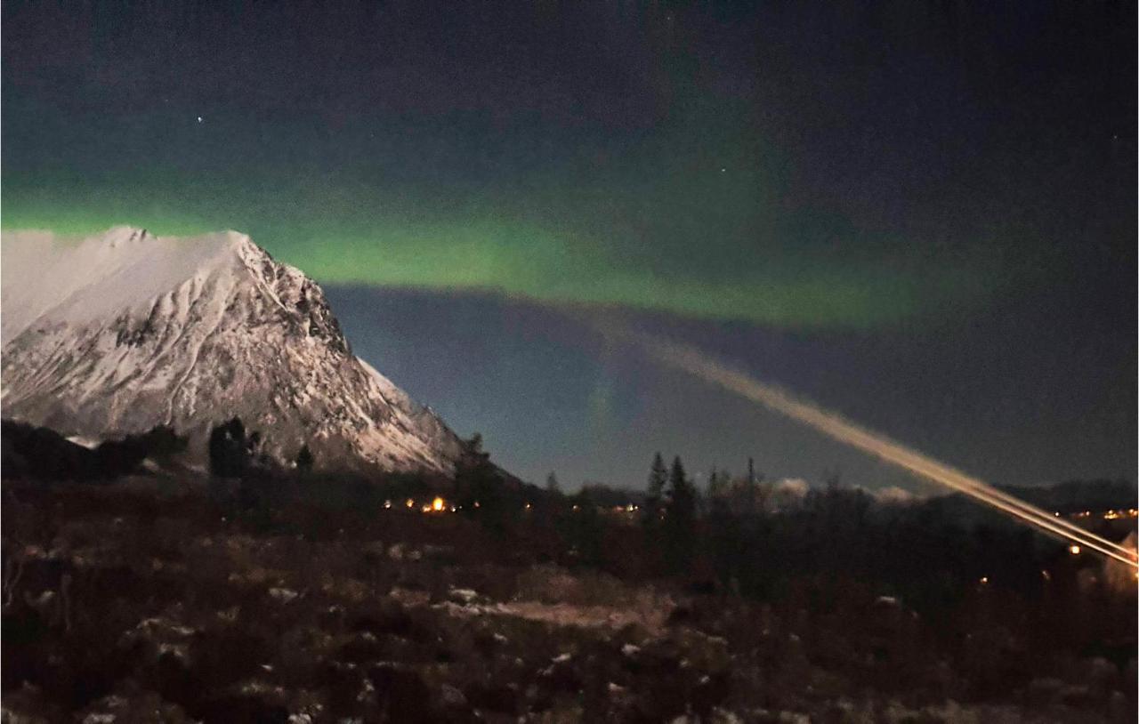 Pet Friendly Home In Sortland With Wifi Flesnes Екстер'єр фото